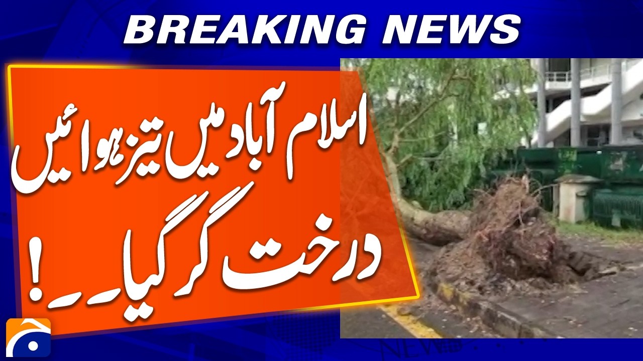 Strong Winds in Islamabad: Tree Falls Amid Gusty Weather | Breaking News | Geo News