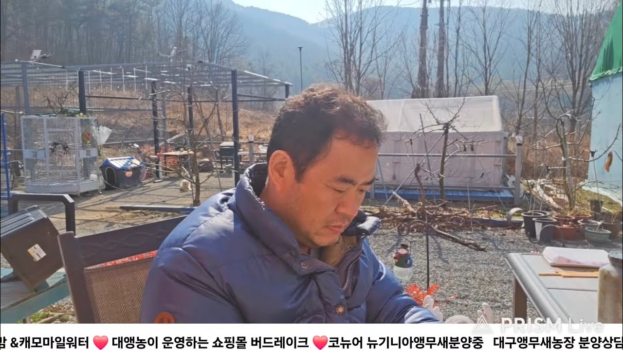 앵집사들의 이야기방 아침라이브on 🦜/ 대구앵무새농장 [ Birdlake ]  실시간라이브  앵무새분양및 행동상담 parrot korea 20260319