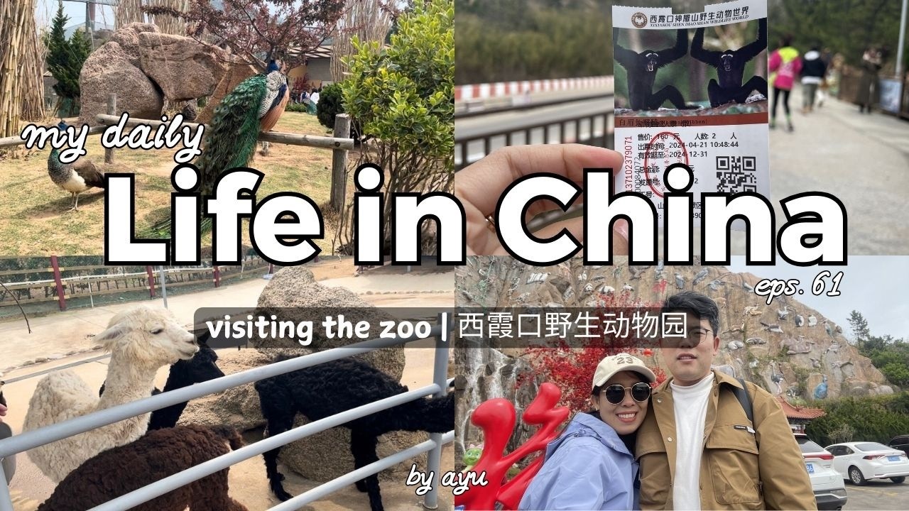vlog 61 | 24.4.21 | Visiting the zoo in China | 西霞口野生动物园 | (Part 1)