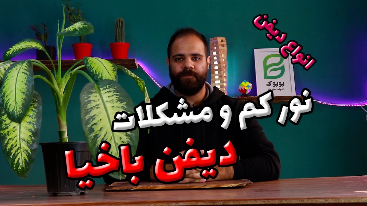 مشکلات دیفن باخیا در زمستان