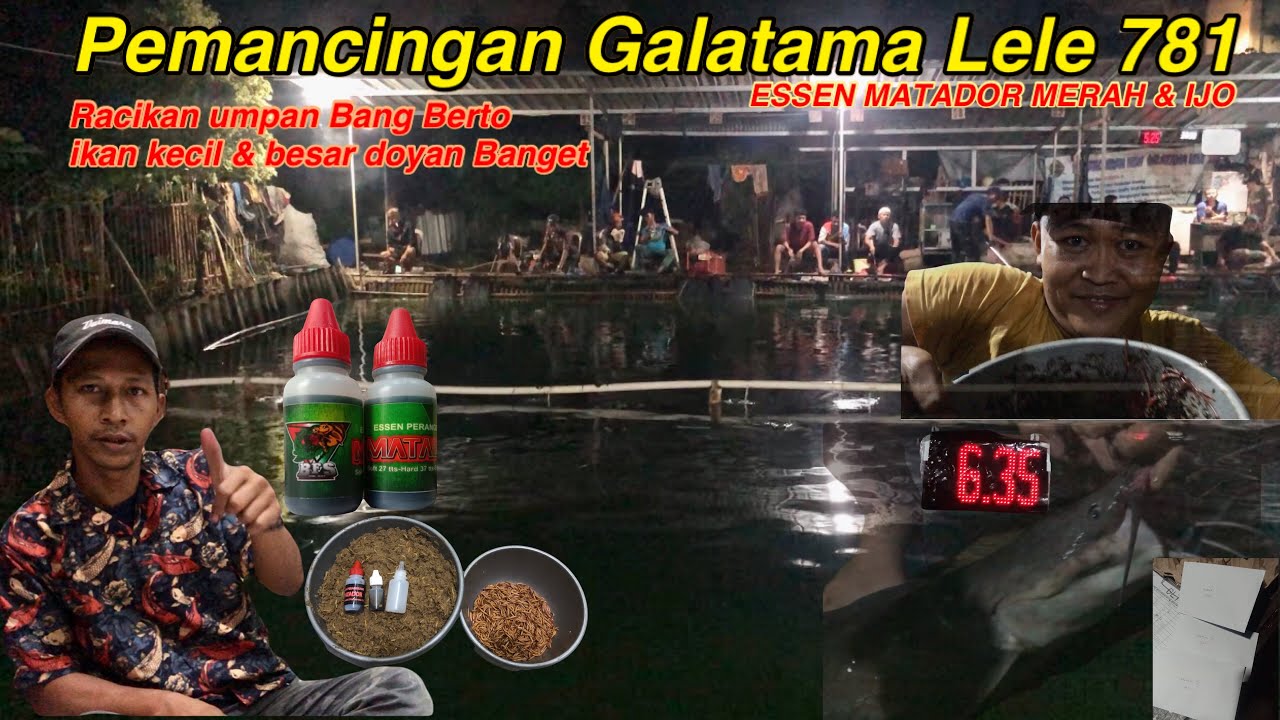 Ulah Essen Matador Merah & Ijo | Telat 1 jam masih masuk nominasi Induk 1 | Berto Umpan #bfsfishing