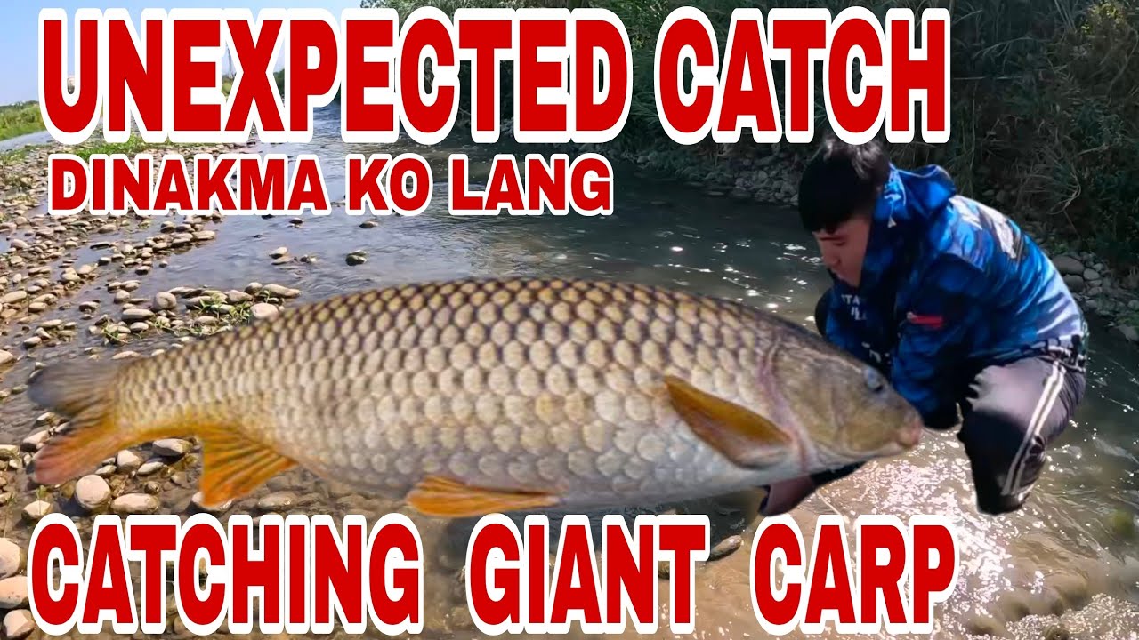 Napasigaw At Napatakbo Kami! Dinakma Lang Namin Ang Mga Halimaw Na Karpa