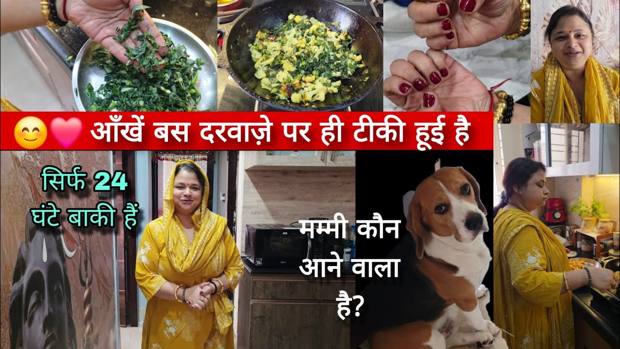 इससे बड़ी खुशखबरी कोई हो सकती है क्या ❤️😊 तैयारी में लग गई हूं 🤯 ये गाना सिर्फ आपके लिए है!!
