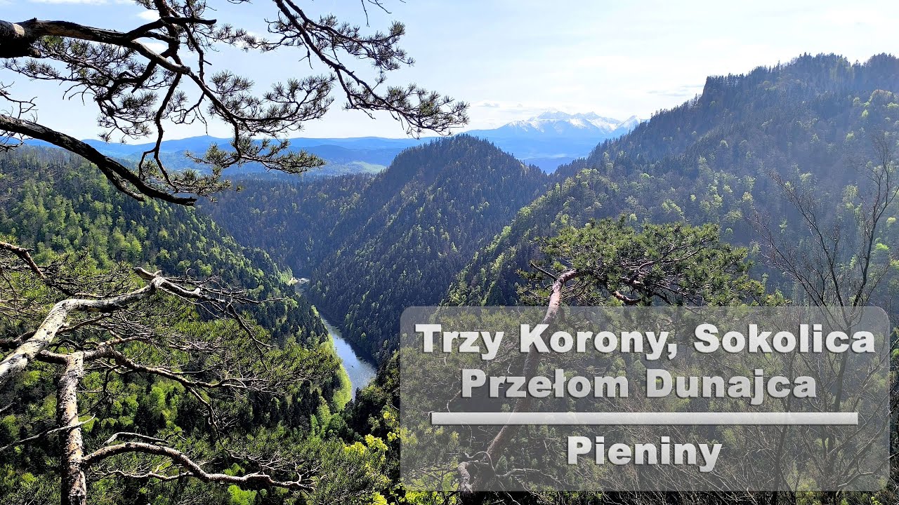 Najpiękniejszy szlak w Pieninach - Trzy Korony, Sokolica i Przełom Dunajca
