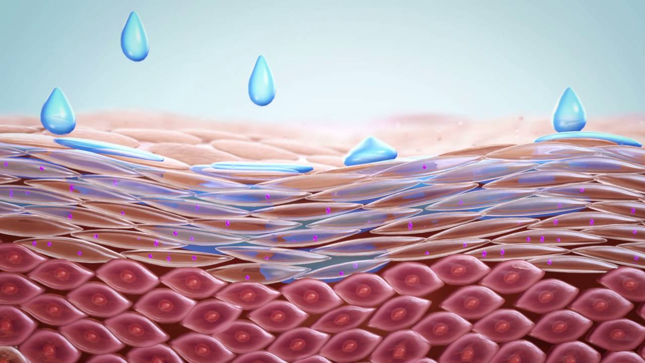 Pentavitin Animation Final HD