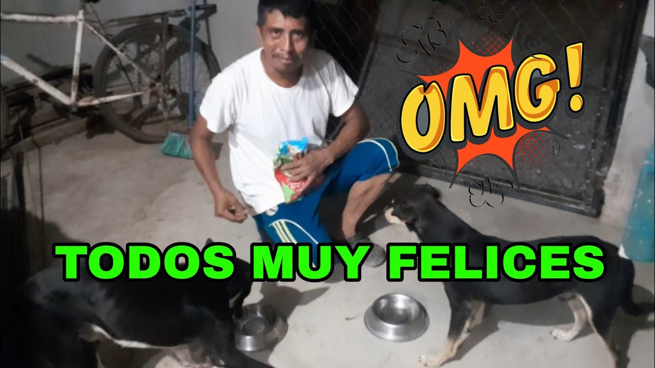 WOW HACI ES COMO DON DAVID 😱  CUIDA SUS MASCOTAS DÁNDOLES SUS ALIMENTOS ELLOS BIEN CONTENTOS 🐕🐈😱