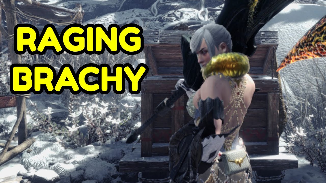 Raging Brachy With Pre Fatalis Switch Axe