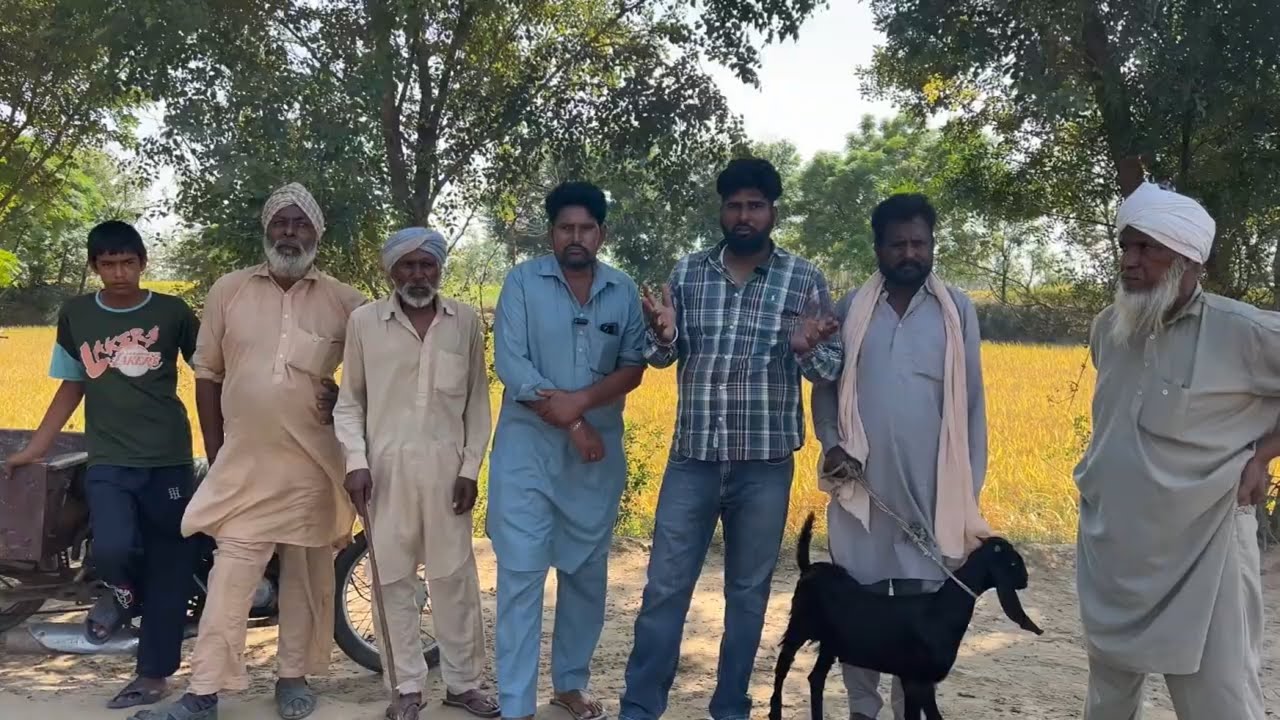ਰੱਲੀ ਬੱਕਰਾ ਮੰਡੀ ਦੀ ਲਕੇਸ਼ਨ ਬਦਲ ਦਿੱਤੀ ਹੈ ਹੁਣ ਭੀਖੀ ਤੋਂ ਜਾਖਲ ਰੋਡ ਉੱਪਰ ਲੱਗੇਗੀ ਨੇੜੇ ਕਿ੍ਸ਼ਨਾਂ ਕਾਲਜ 