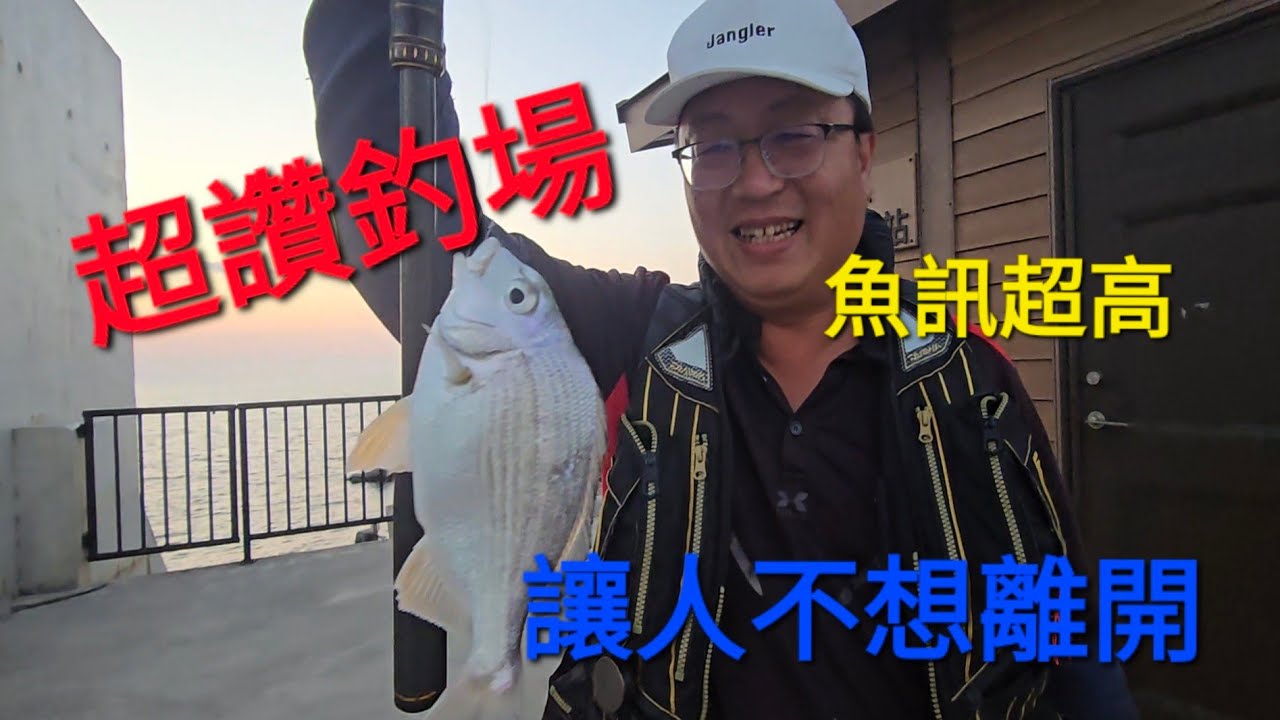 完美的釣場，久違中魚頻率超高魚訊！🎣🐟🐠 #釣魚 #魚獲 #好天氣