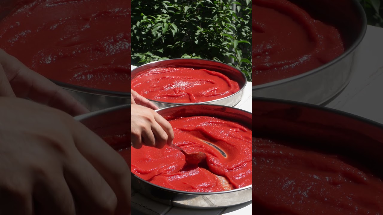 Domates Kabuklarından Doğal Sal&ccedil;a Tarifi 🍅 | Kışa Hazırlık -  Ekonomik ve Doğal Tat
