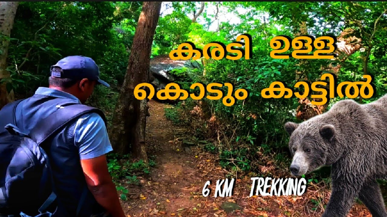Shenbaga Devi Waterfalls | Courtallam | തമിഴ്നാട് | 4 hr trekking |