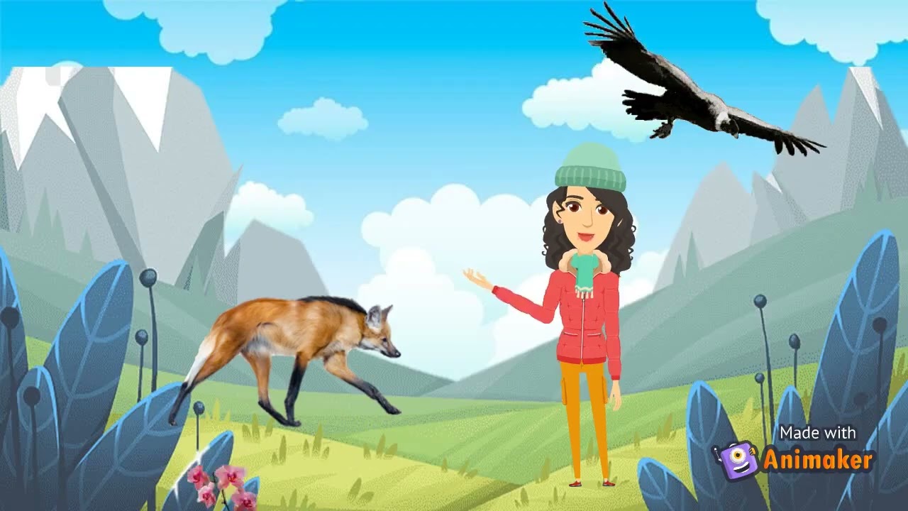 Video Educativo Habitat de Flora y Fauna