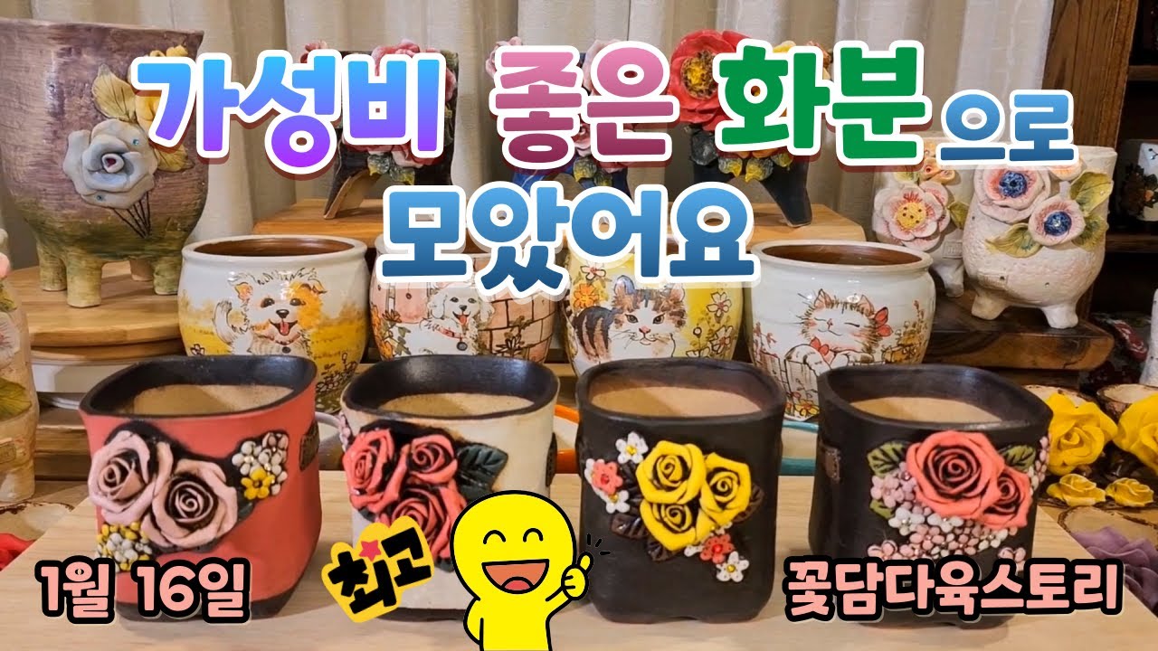 1월 16일 ☎ 010-3711-3080 
