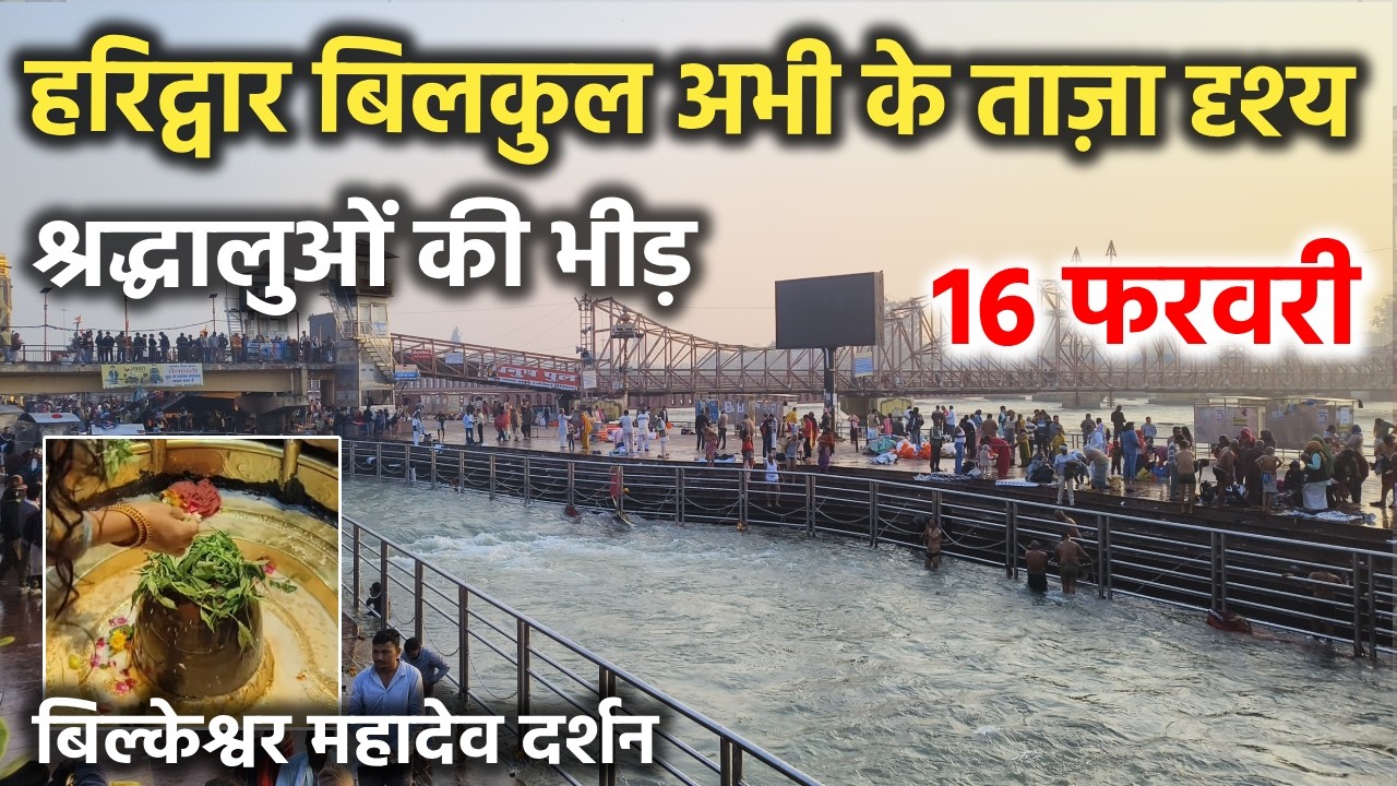 हरिद्वार बिलकुल अभी के ताज़ा दृश्य || श्रद्धालुओं की भीड़ || Haridwar latest video || haridwar live