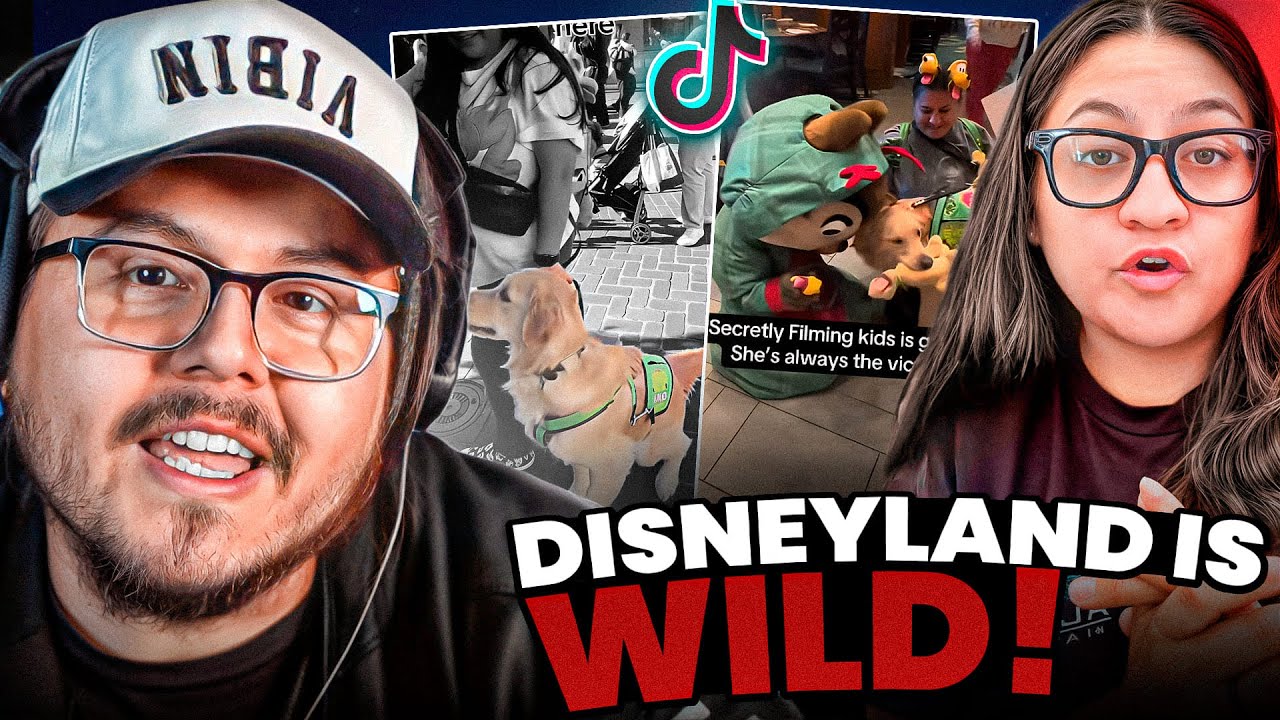 The tiktok disneyland drama is WILD! (pluto the service dog)