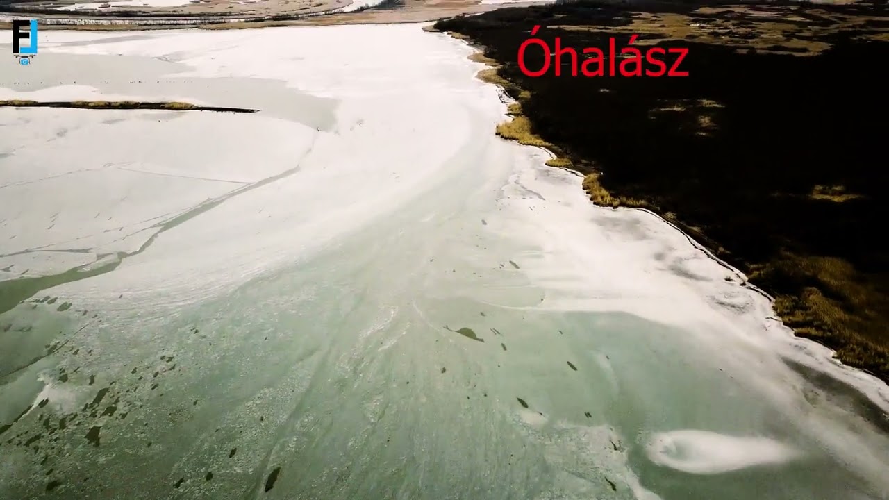 Fűzfás-morotva tuskói   Tisza-tó  2022