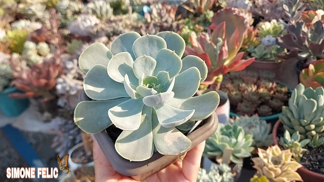 TRANSFORME seu JARDIM com RESTOS de materiais de CONSTRU&Ccedil;&Atilde;O Simone Felic