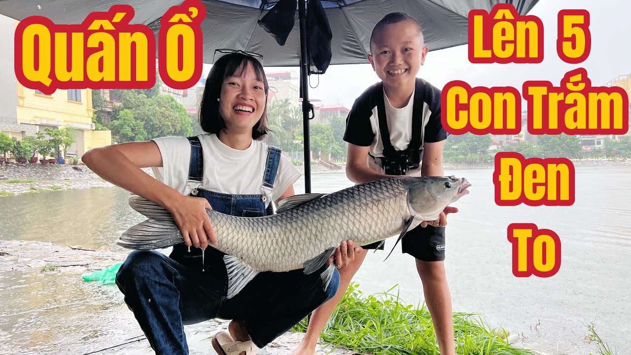 Câu Cá Cùng Anh Lục Tặc Và Mao Đệ (Tam Mao) Trắm Đen Quấn Ổ Lên 5 Con To