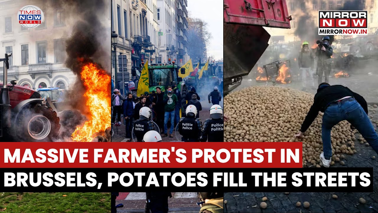 Farmer's Protest In Brussels, Streets Buried Under Potatoes | Chaos Breaks Out, Watch Video