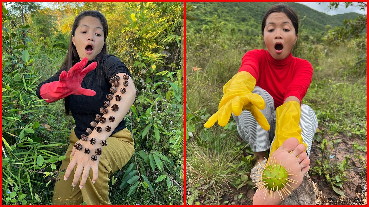 Survival Skills: SMART idea and USEFUL in forest #bushcraft #camping #outdoors #useful #idea