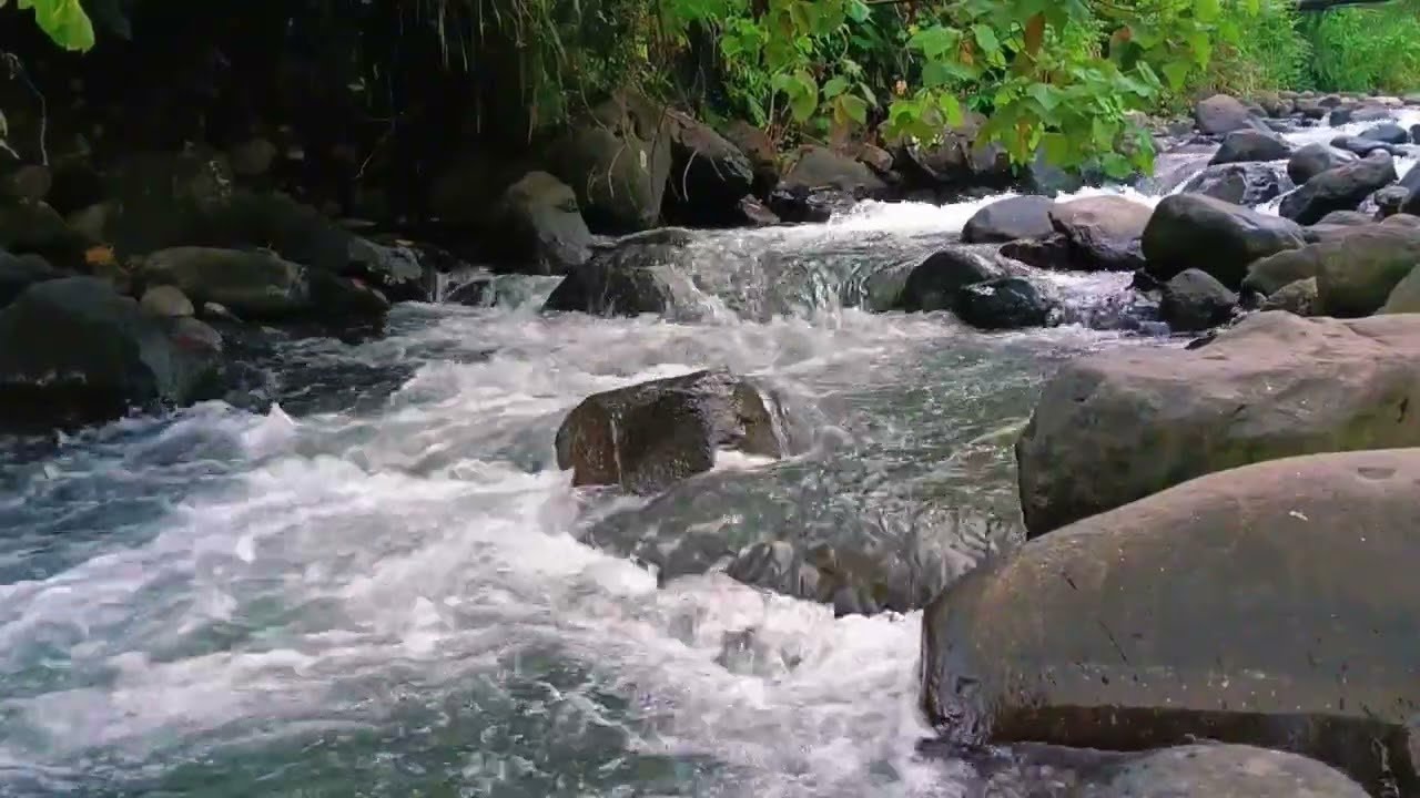 🌙 Sons de rivière pour sommeil profond – Eau douce toute la nuit