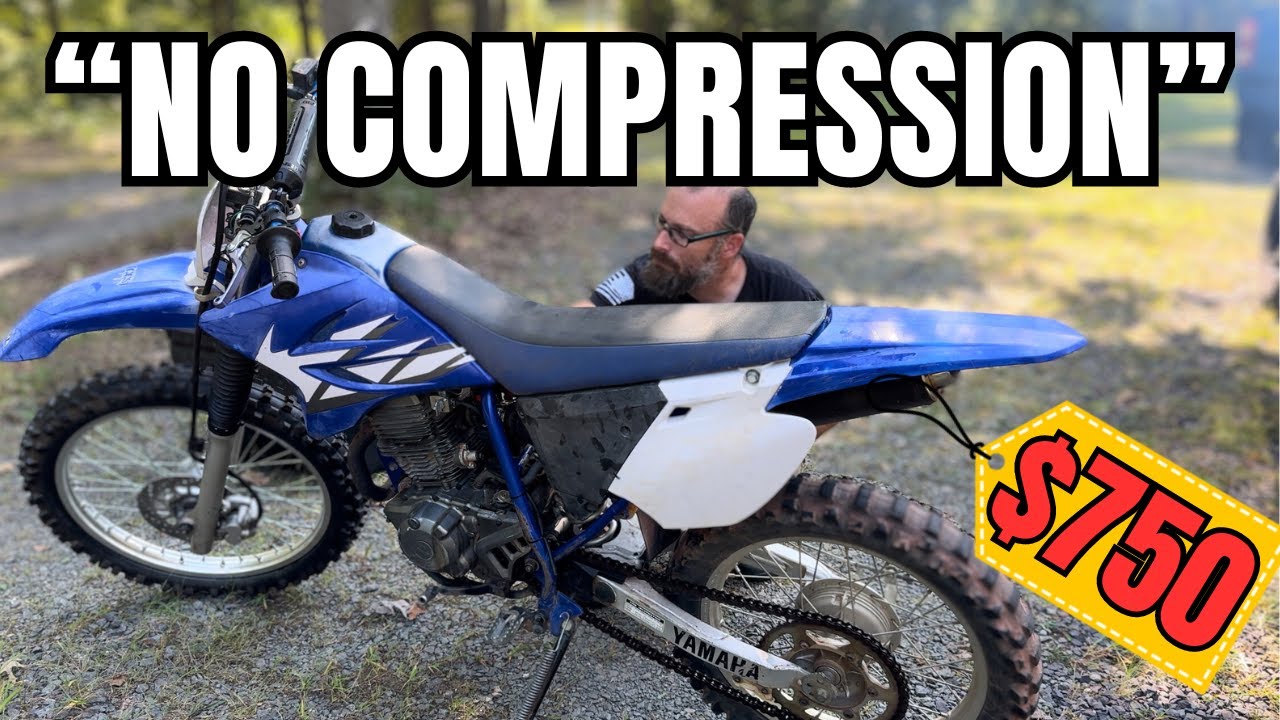 I Bought a Clapped Out Yamaha TTR 230