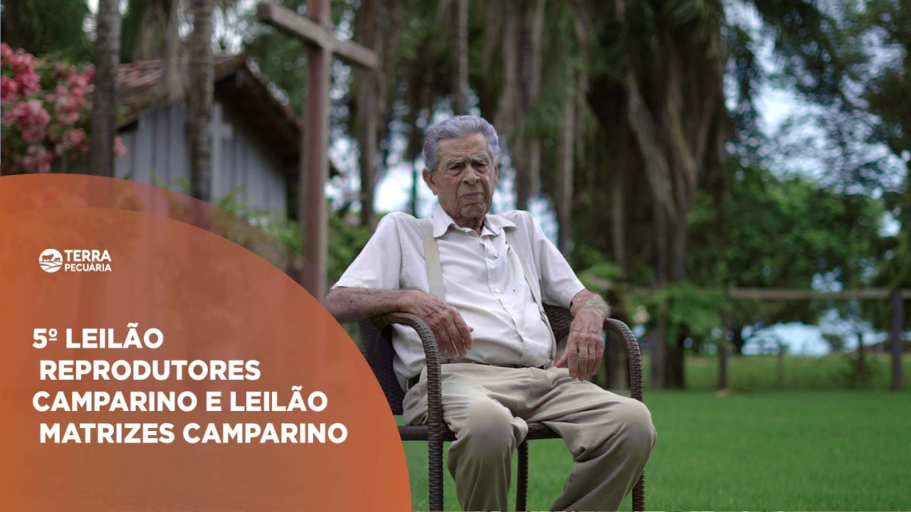 TERRA PECUÁRIA - 5º LEILÃO REPRODUTORES CAMPARINO E LEILÃO MATRIZES CAMPARINO