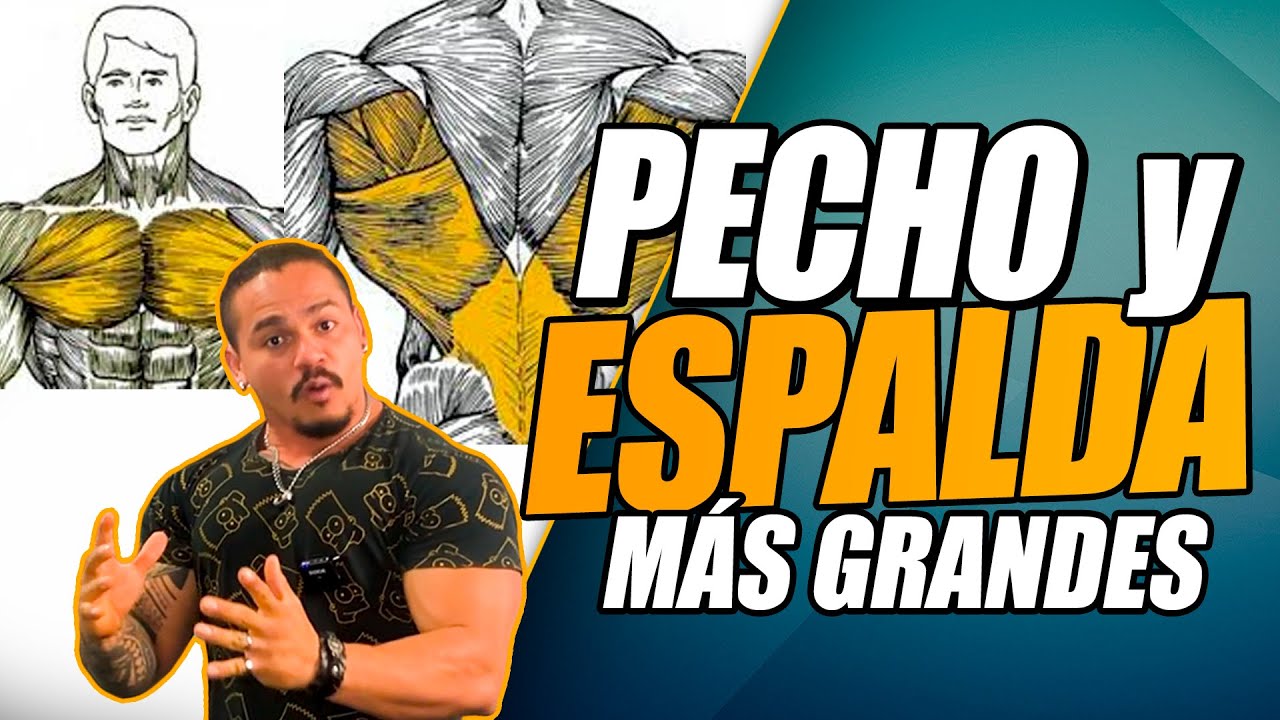 TRABAJA INTENSAMENTE TU PECHO Y ESPALDA | ¿Estás listo para esto?🔥 - Frank Serapión.