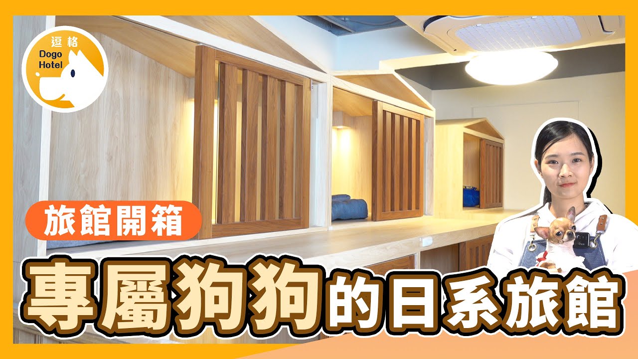 【逗格開箱】狗狗的旅館? 日系裝潢狗旅館一起來開箱!!｜逗格寵物旅館