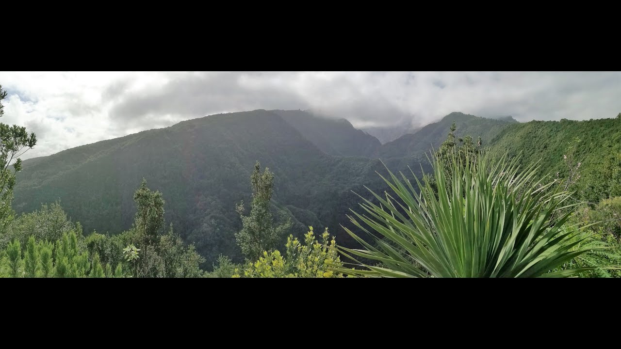 La Palma - Wandern - von Los Tilos nach Los Sauces