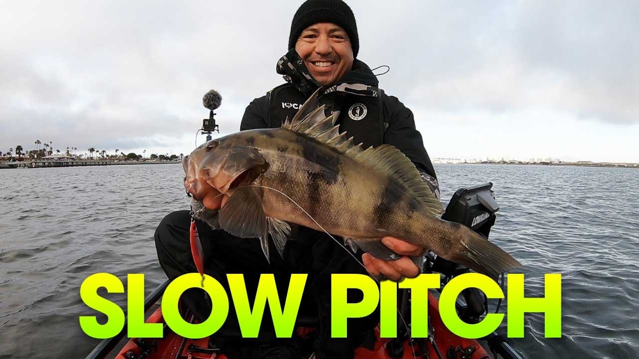 Down Scan and Deep Drops |  San Diego Bay Fishing  |  Sand Bass & Spotties