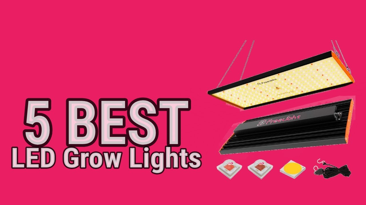 5 Best LED Grow Lights