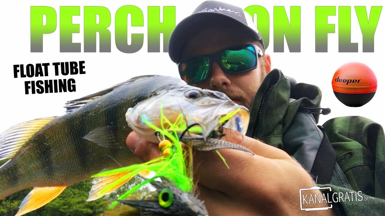 FLY FISHING for PERCH (and Pike) - Float Tubin' using a Deeper Sonar