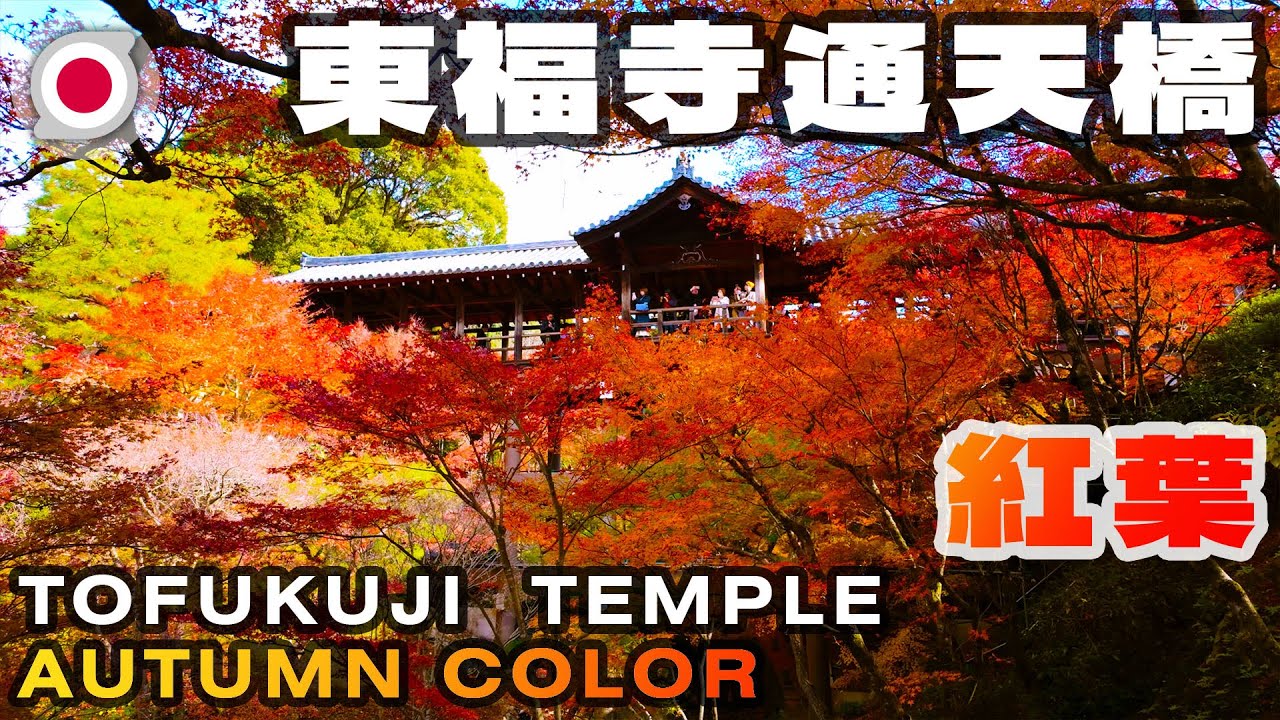 -京都- 東福寺 通天橋【紅葉2023】[4K] DJI Osmo Pocket 3