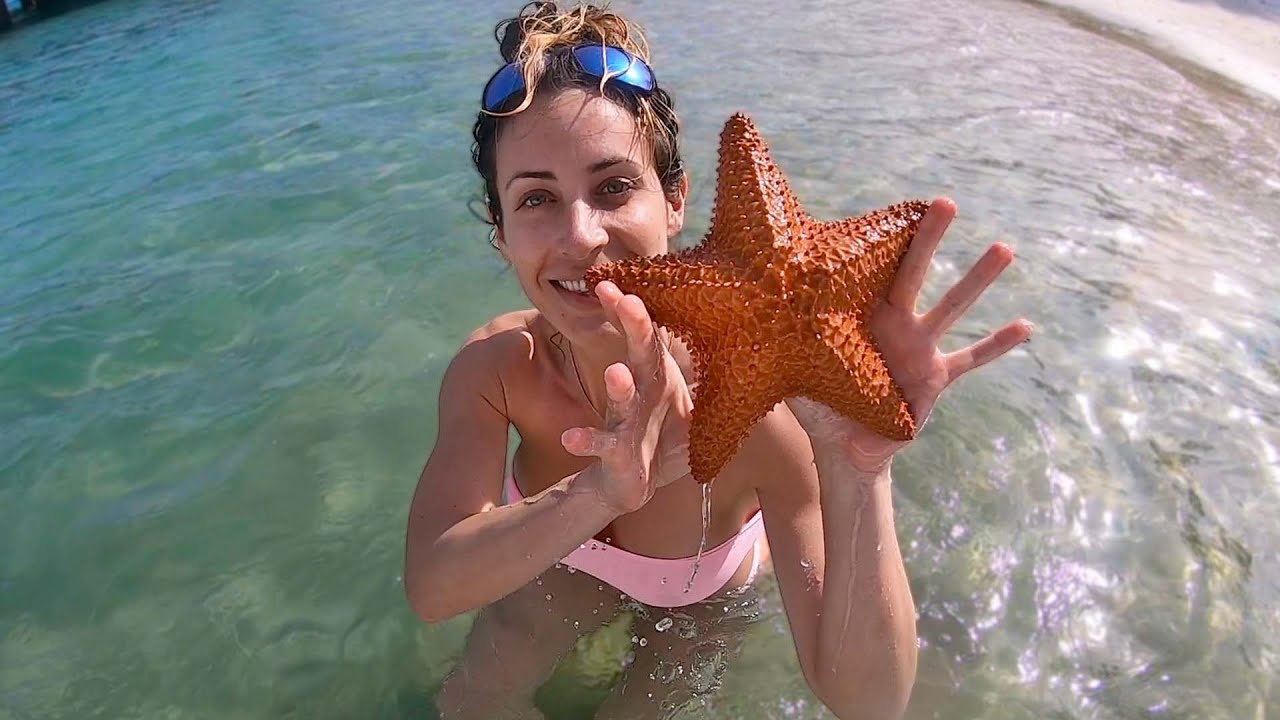 Finding STARFISH with my SISTER!!!