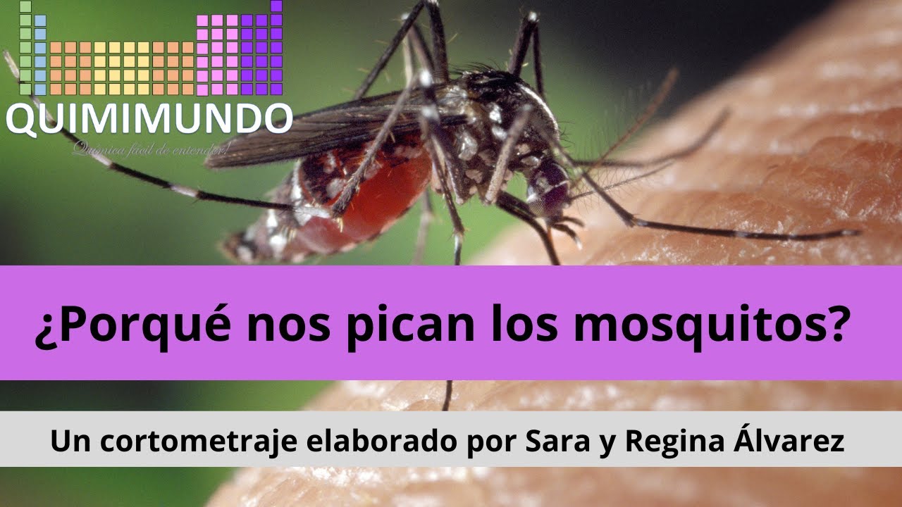 ¿Porqué nos pican los mosquitos?