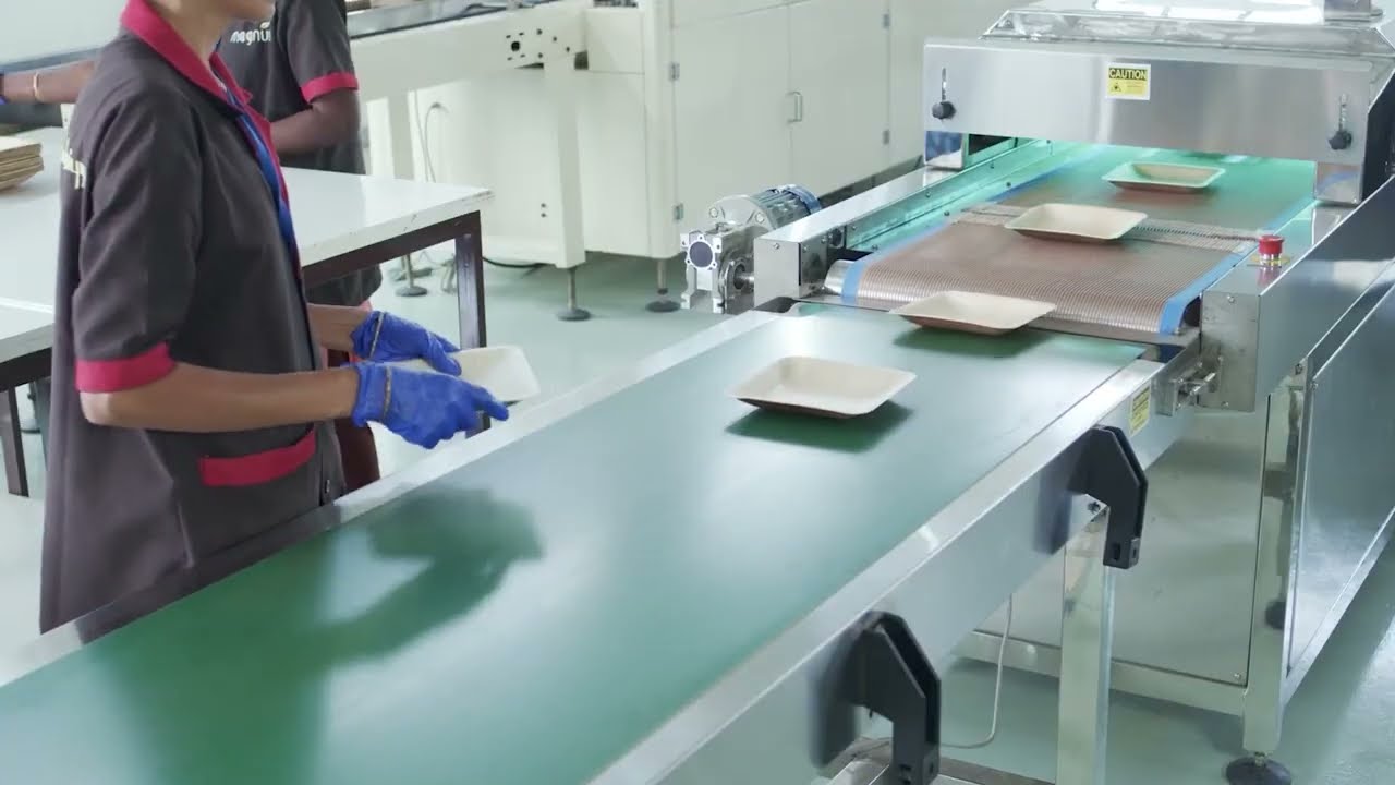 Magnus EKO | Manufacturing the Best Palm Leaf Products for a Greener Future
