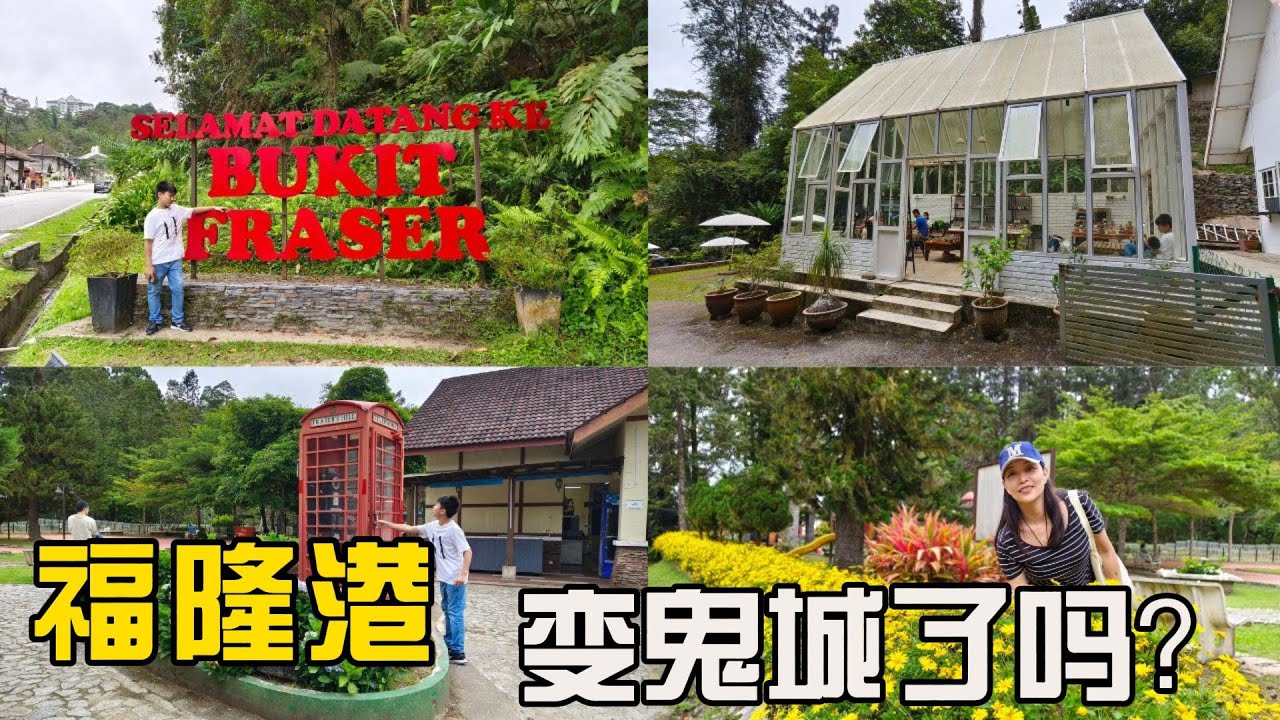 Fraser‘s Hill (Bukit Fraser福隆港）变成怎样了？一日游行程攻略 Things to do in Fraser's Hill