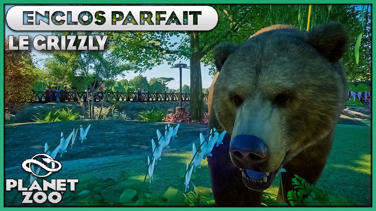 Les Grizzlys | LES ENCLOS PARFAITS : EPISODE 26 | PLANET ZOO