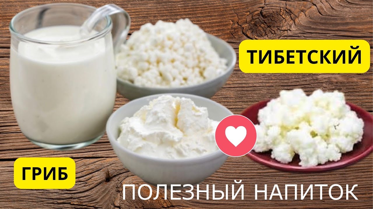 Магия тибетского гриба: Кефир и творог своими руками