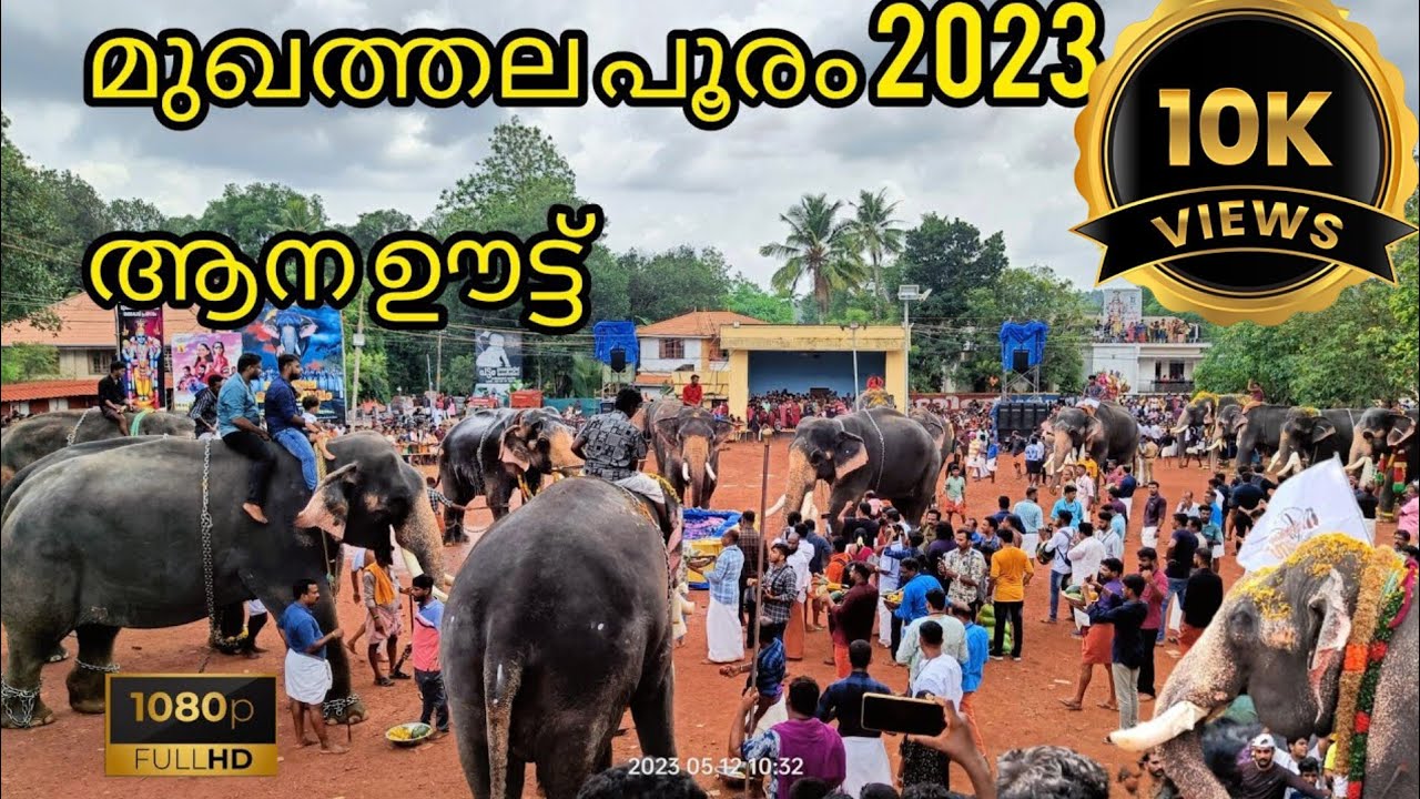 ആന ഊട്ട് |മുഖത്തല പൂരം2023|ആന നീരാട്ടു |mukhathala ulsavam 2023|mukhathala murari temple