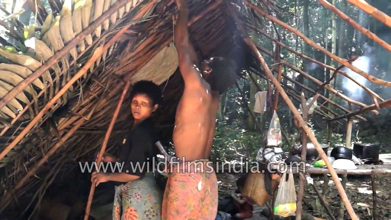 Maniq  - The last hunter-gatherers in Thailand