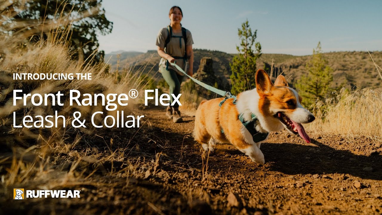 О поводке и ошейнике Front Range® Flex