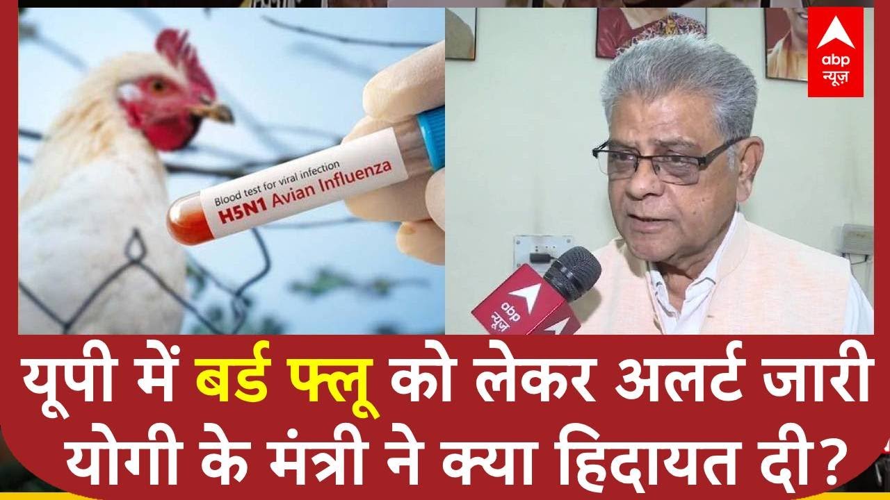Bird Flu Update: यूपी में बर्ड फ्लू को लेकर अलर्ट जारी योगी के मंत्री ने क्या हिदायद दी?