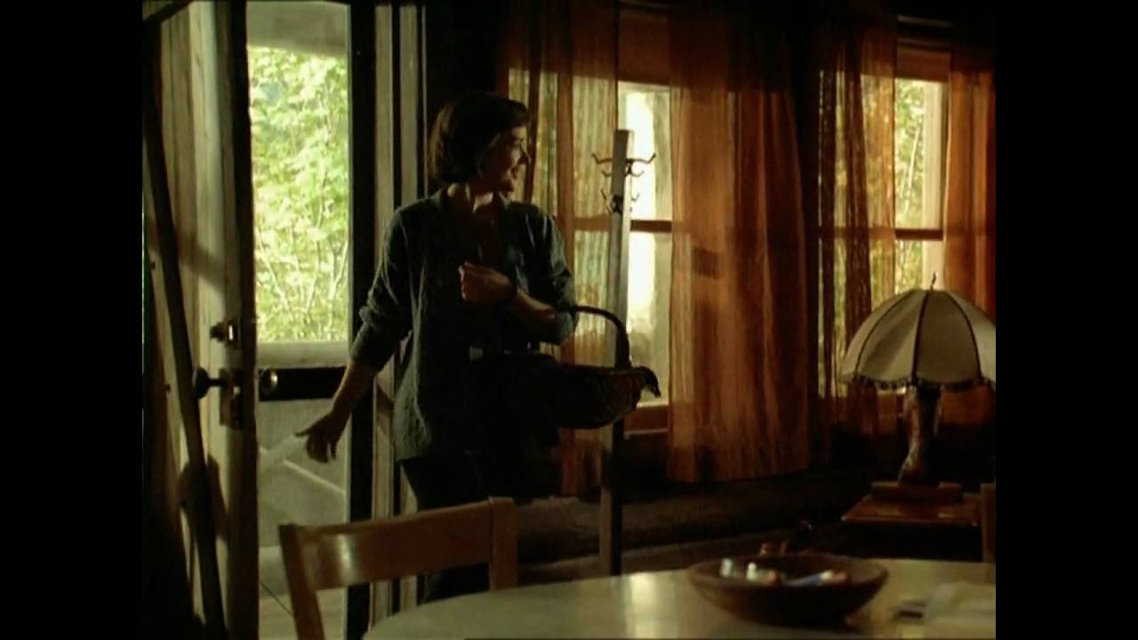 Northern eXposure - Joel Comes Down with 