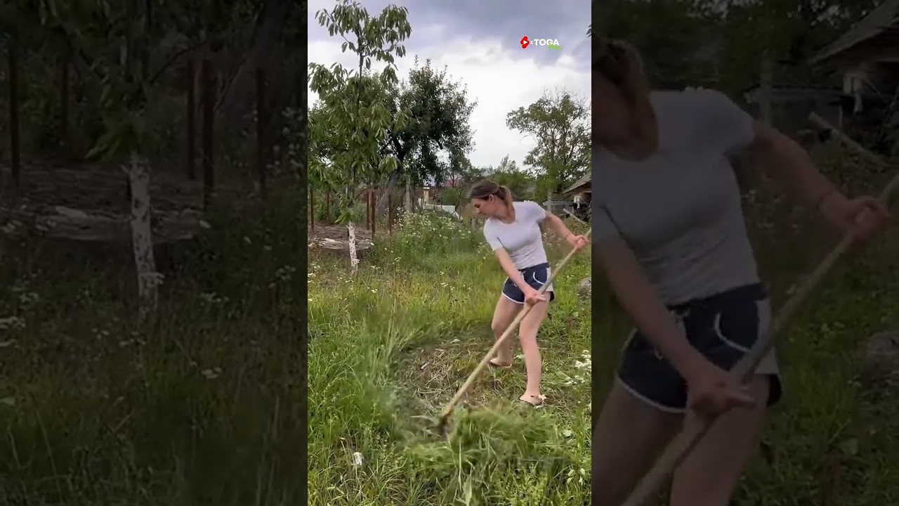 Cara Ngarit di Eropa 😲