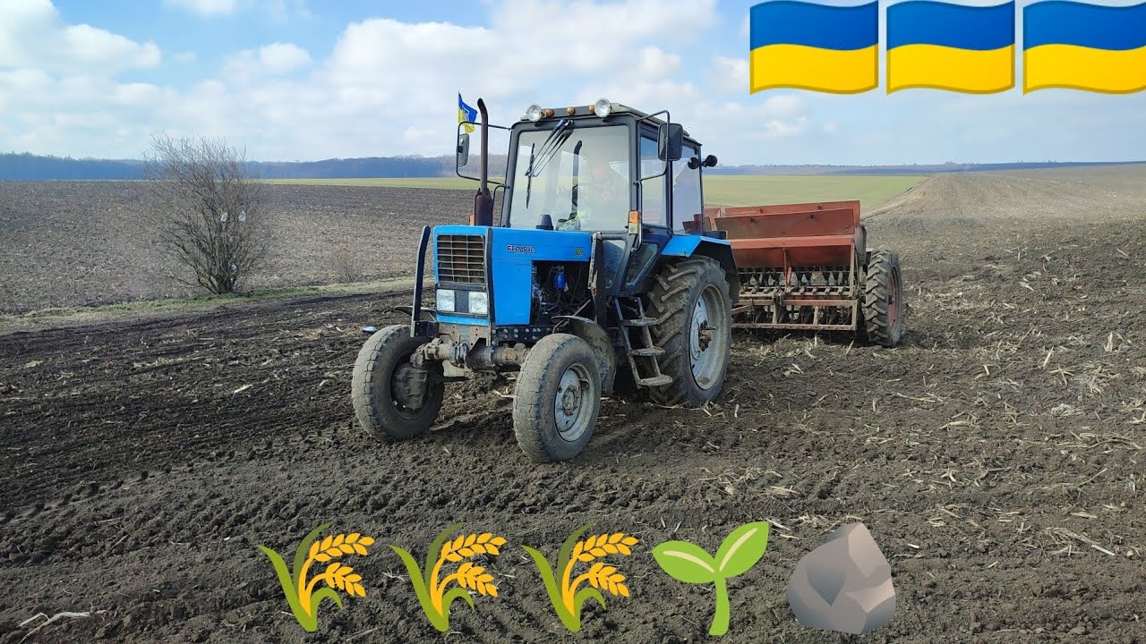 ПОСІВ ЯРОЇ ПШЕНИЦІ 2023.