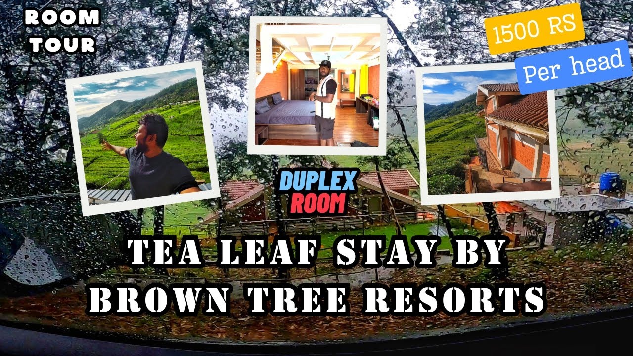 A Peaceful Stay with a great view in ooty | Tea leaf stay By Brown tree resorts #ooty