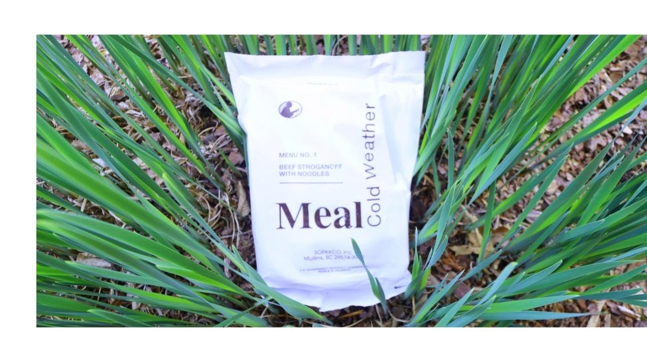 COLD WEATHER MRE, BEEF STROGANOFF