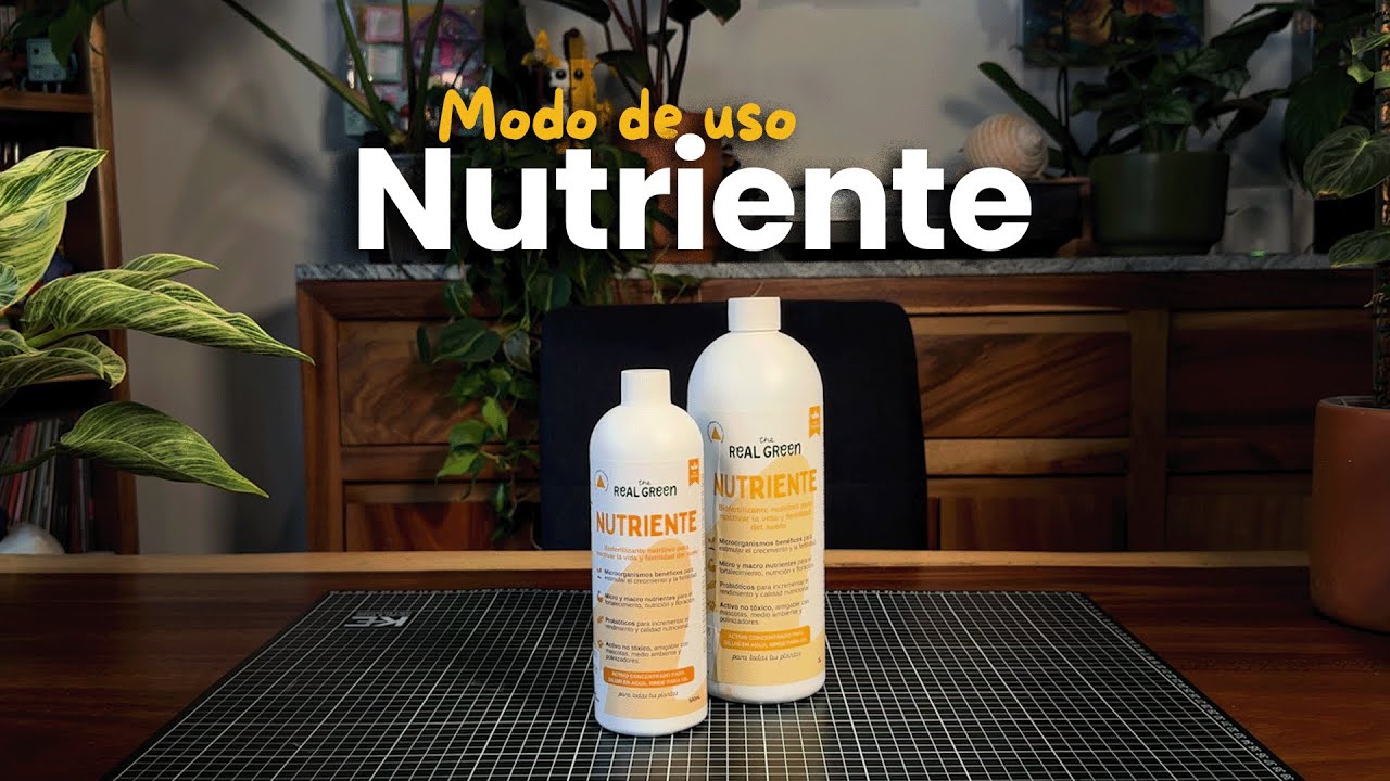 Aprende C&oacute;mo Nutrir Tus Plantas Correctamente |  Nutriente The Real Green